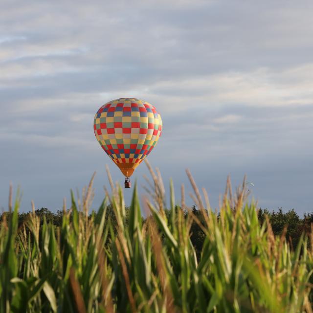 Mondial Air Ballons 2019 - vol du matin le 01/08